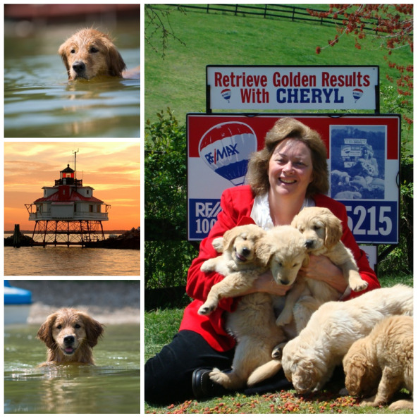 Photo Collage of Southern Maryland Lifestyle